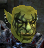 warcraftorchead1.jpg